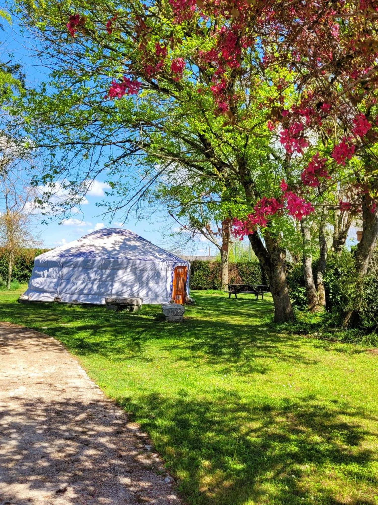 L Amalia Au Coeur Des Chateaux De La Loire Et Du Zoo De Beauval Sambin Zimmer foto